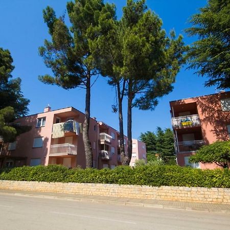 Roza Apartment Novigrad Istria Εξωτερικό φωτογραφία